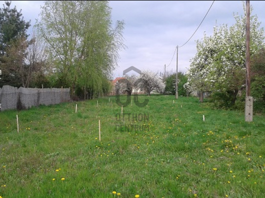 Index image
