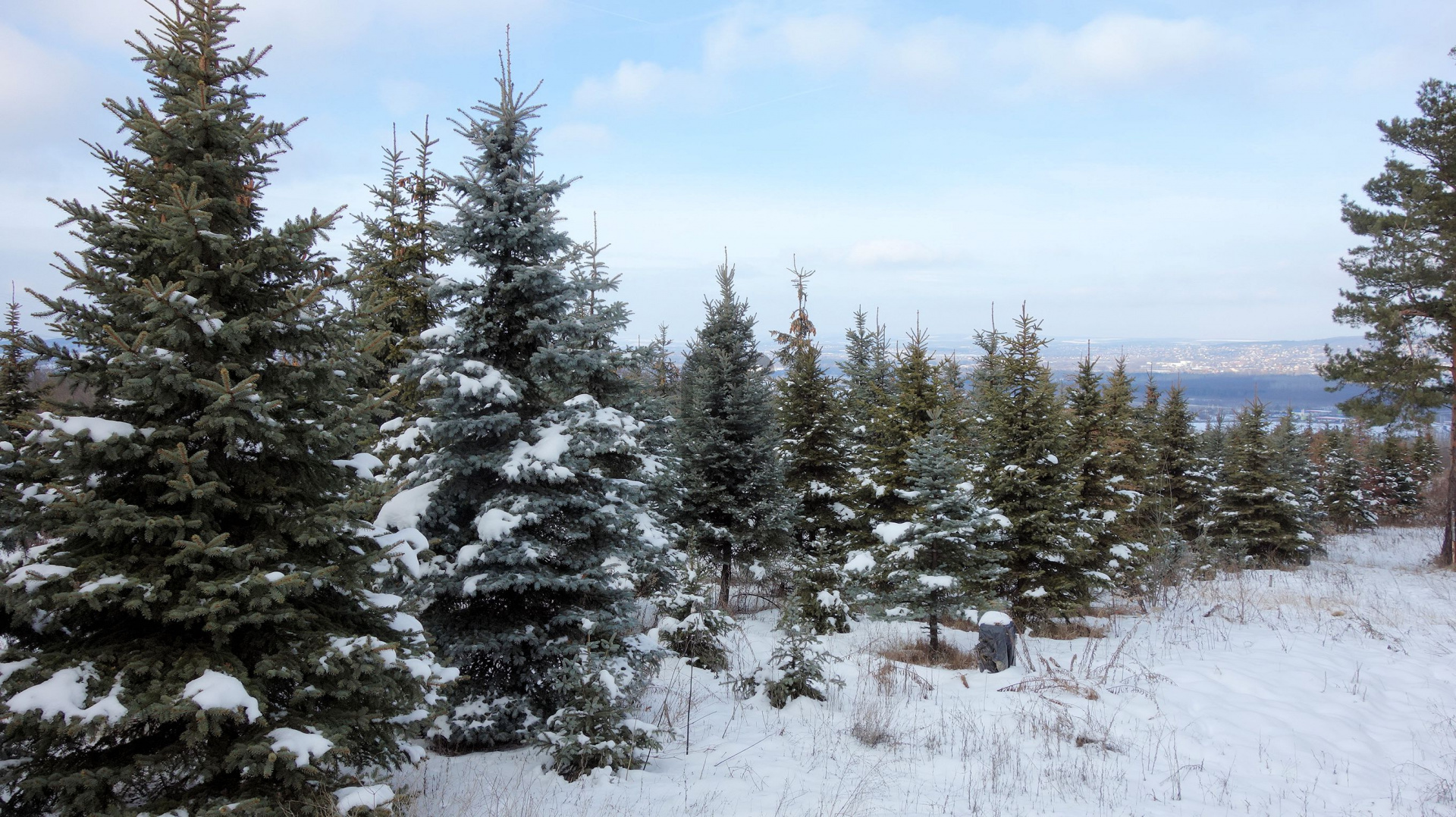 Gallery zoom image