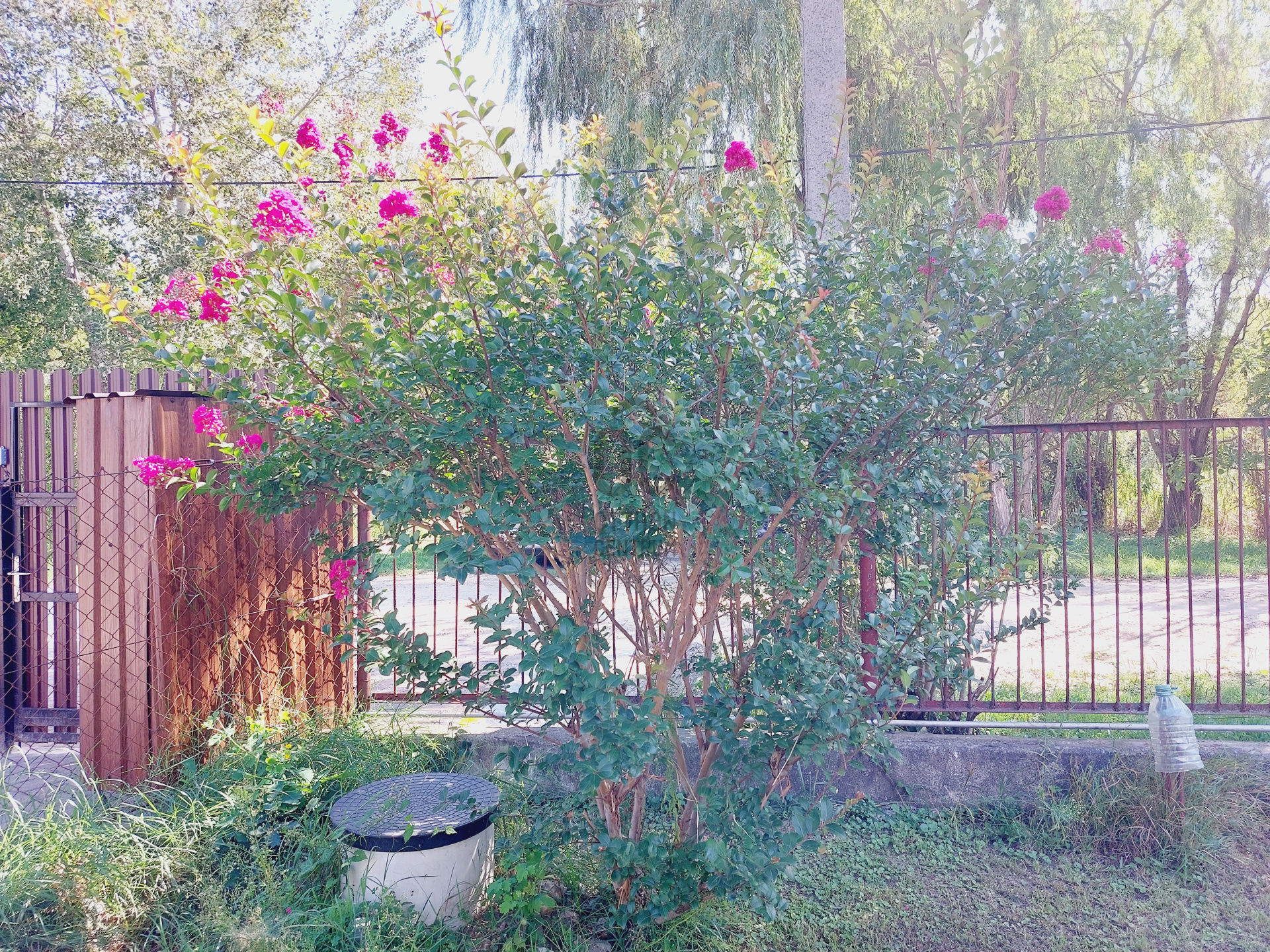 Gallery zoom image