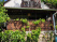 Index image