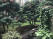 Index image