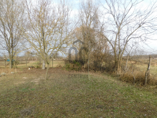 Index image