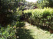 Index image