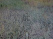 Index image