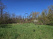 Index image