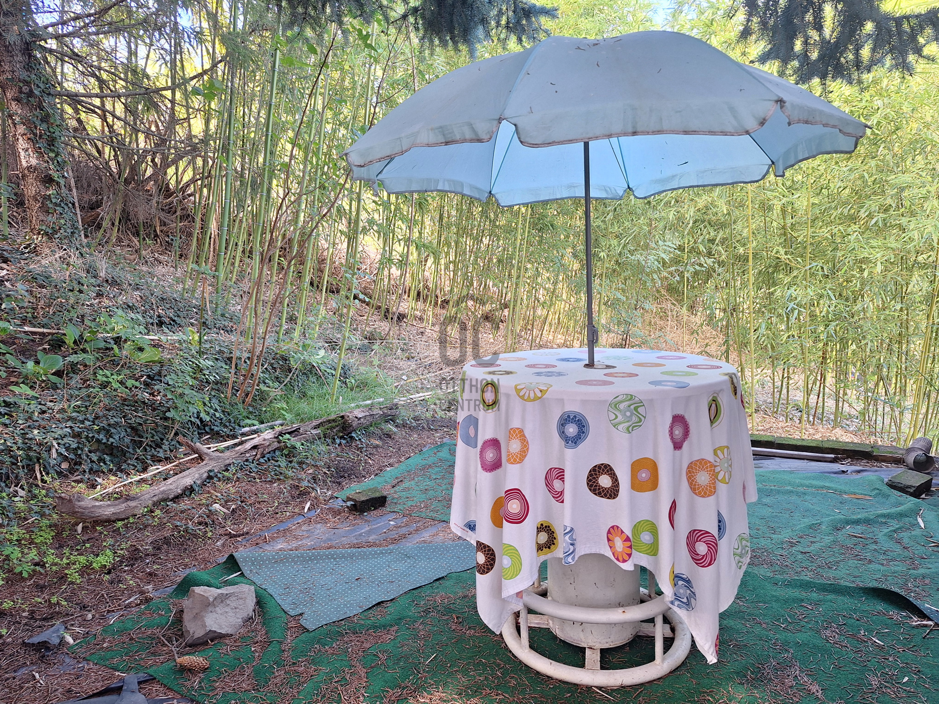 Gallery zoom image