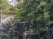 Index image
