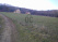 Index image