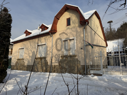Index image