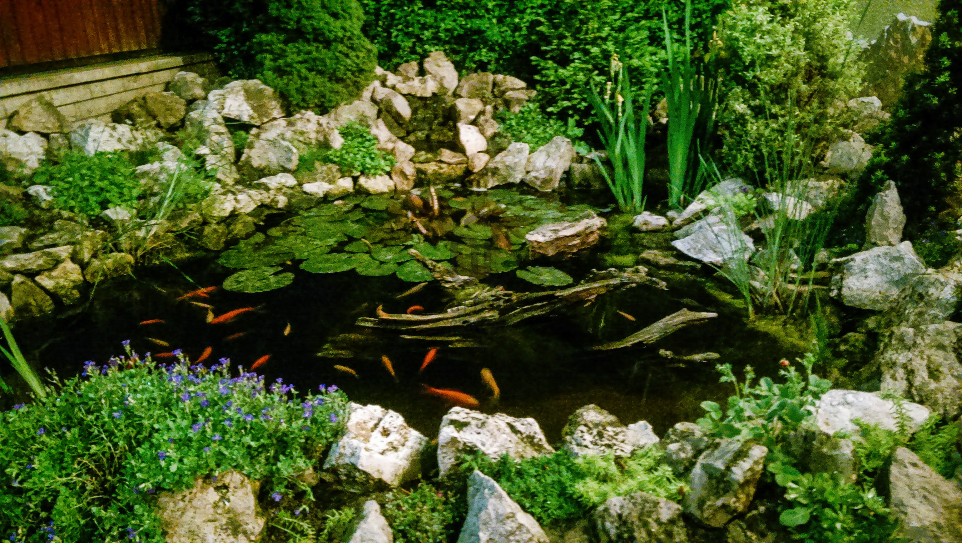 Gallery zoom image