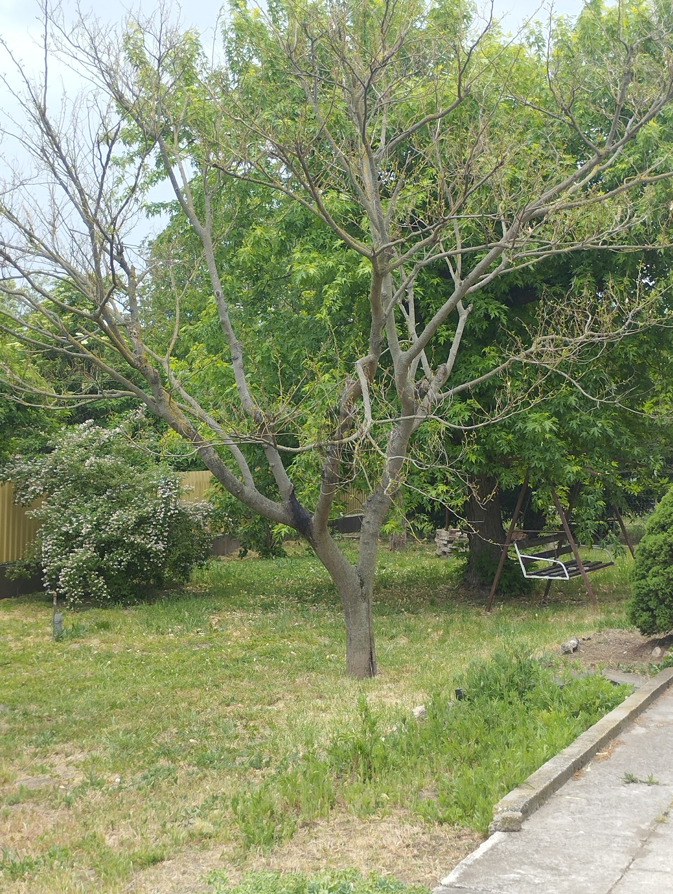 Gallery zoom image