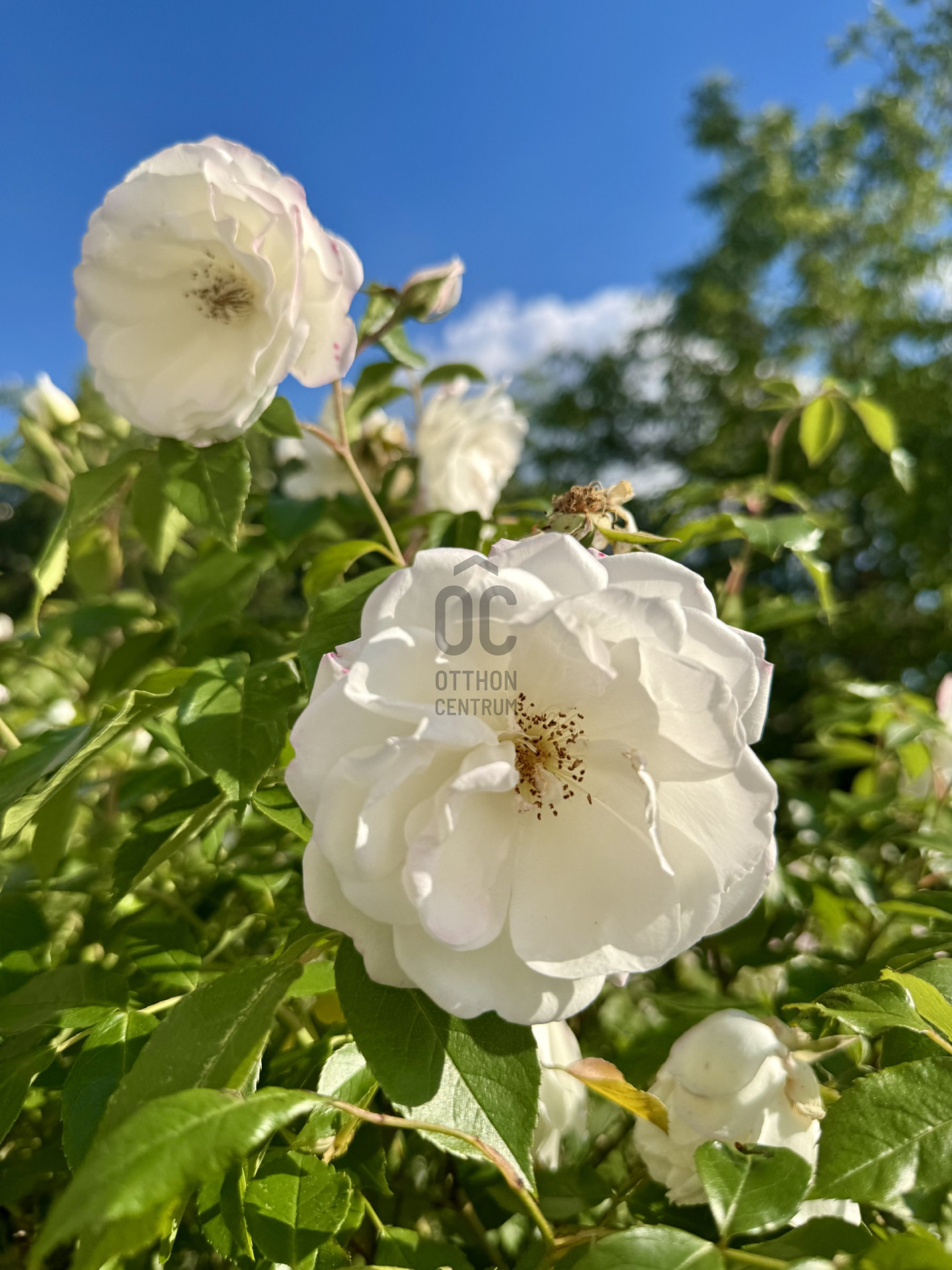Gallery zoom image