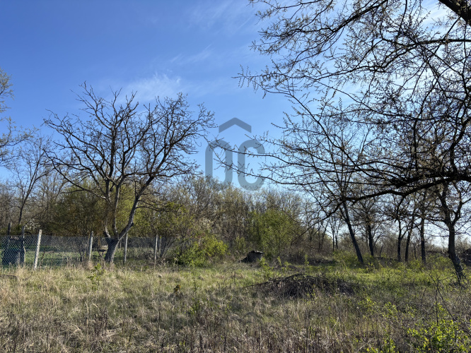 724m² · Telek · 21.000.000 Ft
