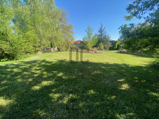 Index image