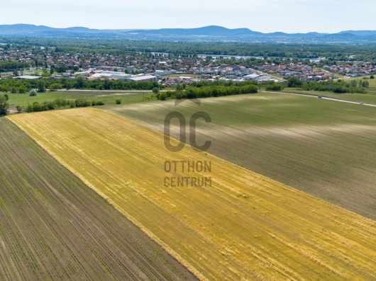 Index image