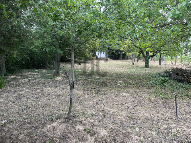 707m² · Telek · 29.990.000 Ft