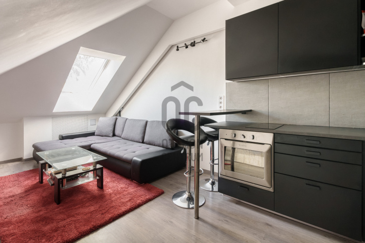 1-bed apartment, 20 m²
