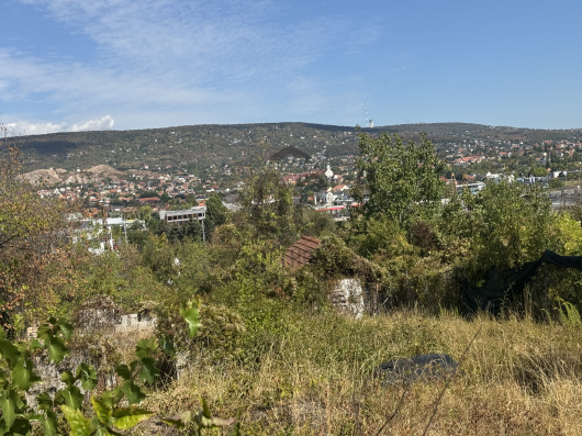Index image