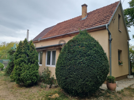 Index image