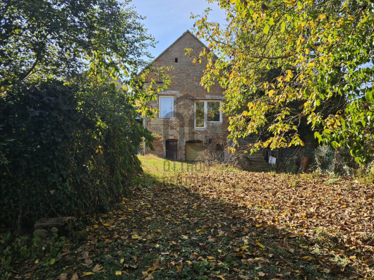 Index image